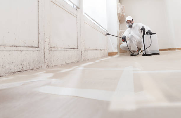 24/7 Emergency Crawl Space Mold Removal experts in Cape Charles, VA