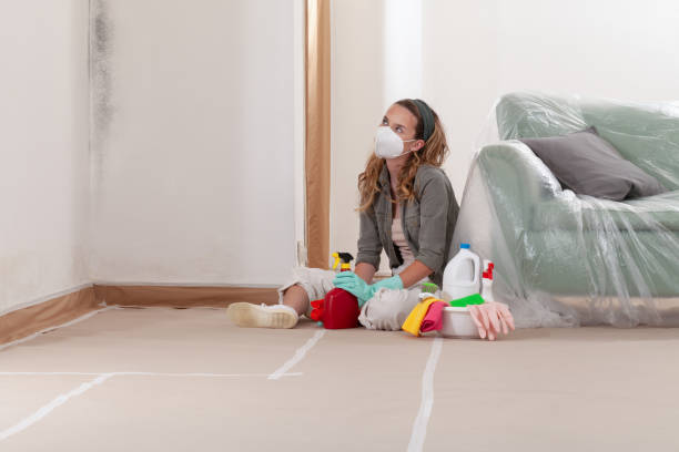 Reliable Crawl Space Mold Removal contractor in Cape Charles, VA by WQB Mold Removal