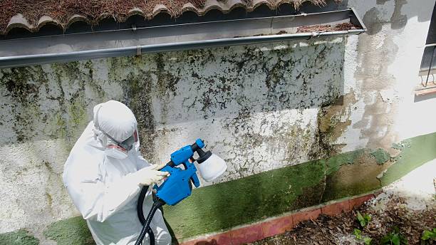 Top rated local Crawl Space Mold Removal specialists in Cape Charles, VA